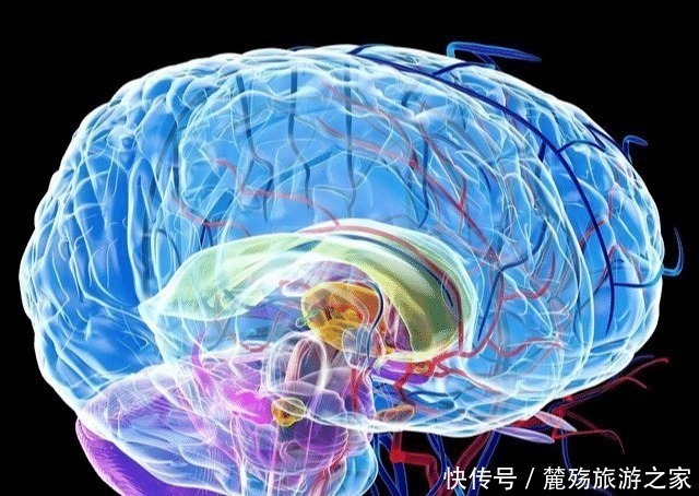 发育|0~3岁是宝宝大脑发育黄金期,经常吃这8种益智食物,娃越吃越聪明