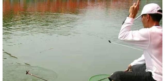 钓了20年鱼,如今才得知,太空豆还有这3个妙用,不服不行