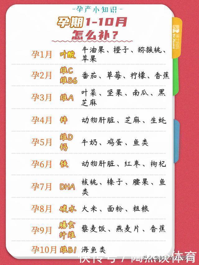 营养|孕期营养|孕期1-10月每月必须补充的营养素,吃这些就对了