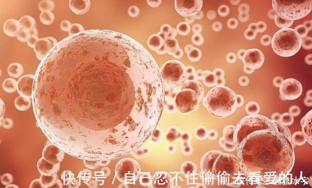 黄体酮素|受精卵成功着床的那刻,女人可能会有这4个感受,快看看你中了吗