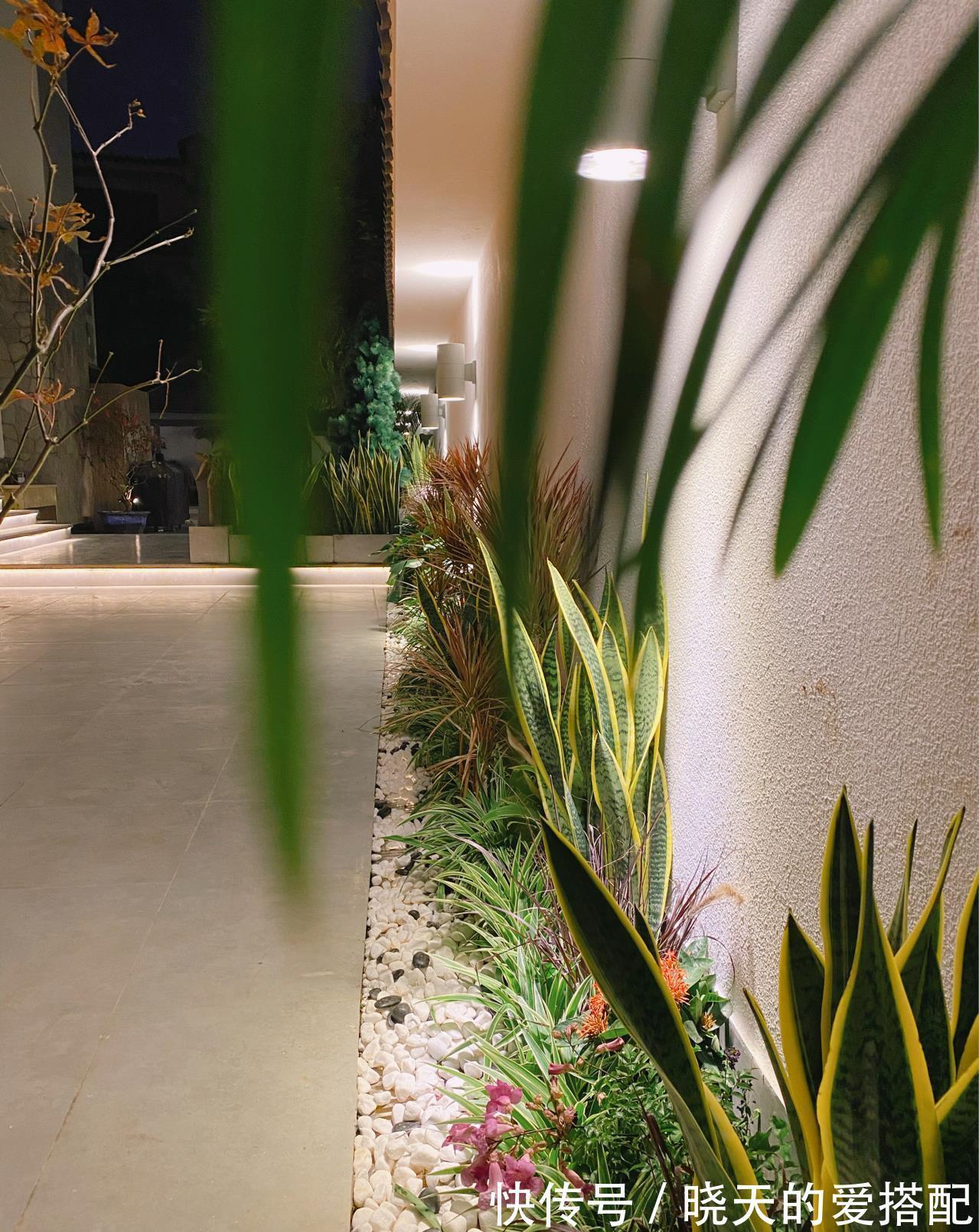 治愈系|小空间庭院花园，正确的绿植搭配技巧，让小院落变身治愈系小花园