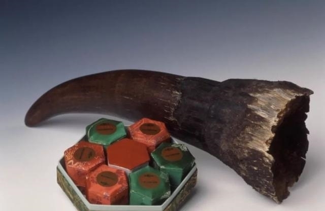 动物|一百年来,中国灭绝了多少动物?