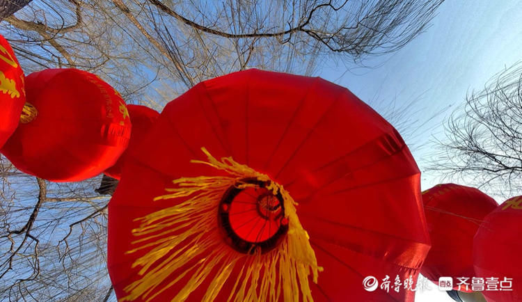 新叶如豆柳枝软！济南大明湖里年味十足|就地过年?春在身边| 新叶如豆柳枝软！济南大明湖里年味十足\＂,\＂i12\＂:\＂就地过年?春在身边