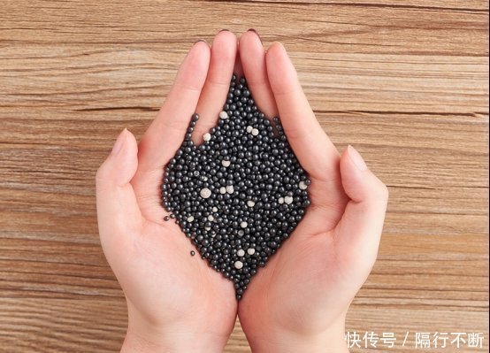 印度榕|家里这种“东西”，天天制造“甲醛”为了家人的健康，赶快扔掉