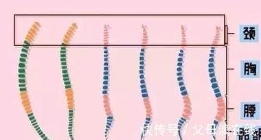 腰部|孩子几个月可以开始练习坐?没有这几个信号,千万别开始