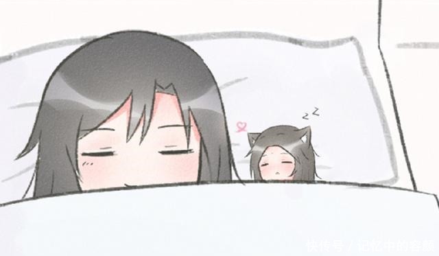 《天官赐福》师青玄变成小猫，师无渡养喵日常，水师大人就是阔气