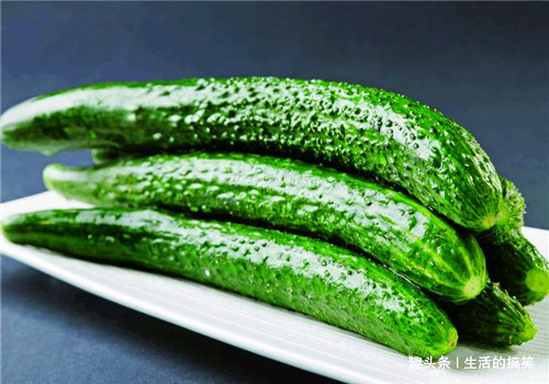 黄瓜|羡慕别人不生病,冬天4种食物要多吃,清热解毒,增强体质,养生