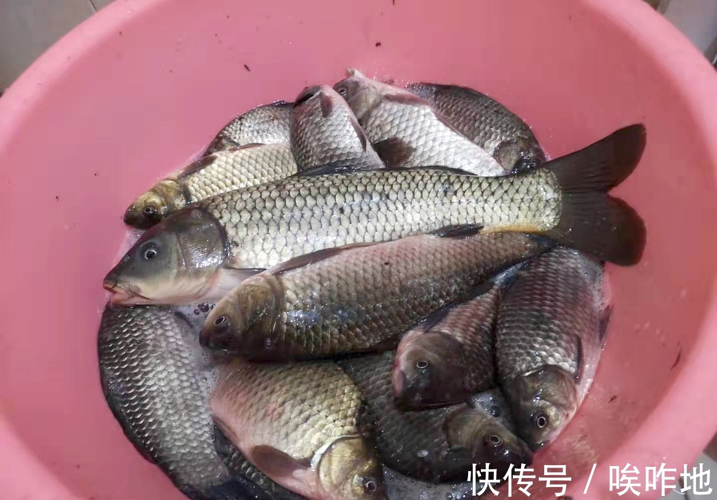 钓鱼|冬天钓鱼钓深还是钓浅？各种说法都有，但原则只有一个