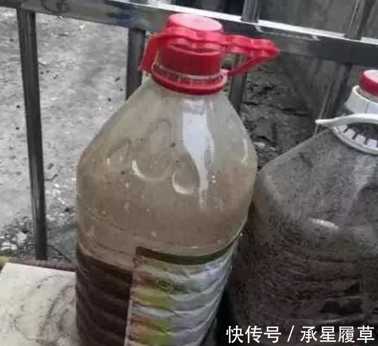 饼肥|养君子兰,盆里放一块“它”,什么肥不用施,长得油绿、花多