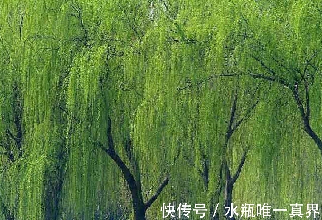 孤篇#有些诗人只有一首诗流传下来,这些诗人中最著名的是哪10位?