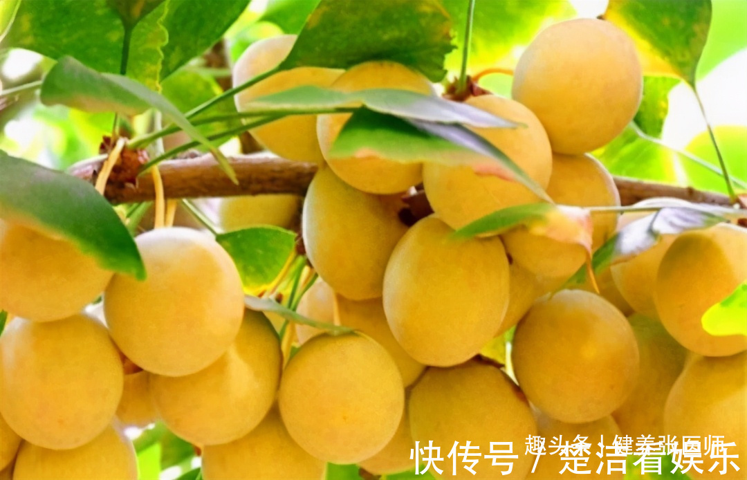 佛手|会吃的人更健康,三种食物轮换来,美容养颜,身体棒棒哒!