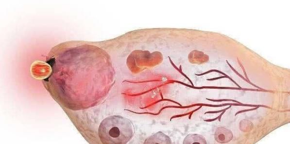 女人的安全期是什么时候，月经走后多久最容易怀孕？男性多看看