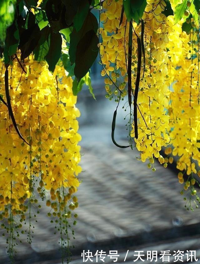 佛家|佛家一句话,胜读十年书!多读开悟才是正道