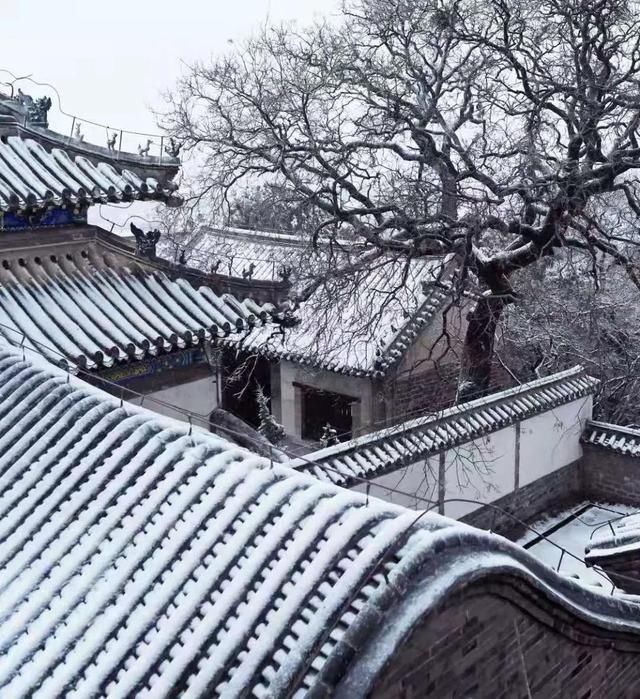 春雪漫卷，蓬莱阁的美藏不住了！