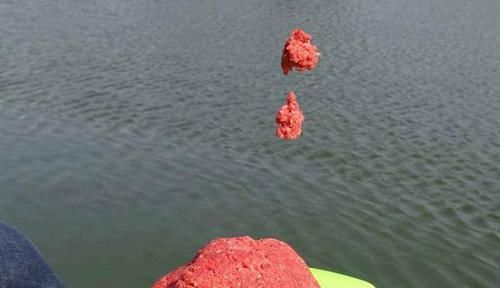 天冷钓不到鱼？那是策略不对路子，5个调整策略，助你板鲫连竿上