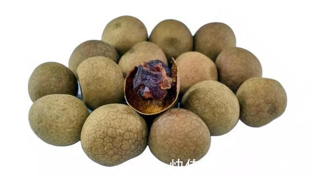 虫草花|桂圆补气血、助睡眠、养脾胃,是初秋人参果!泡茶煲汤生吃都好