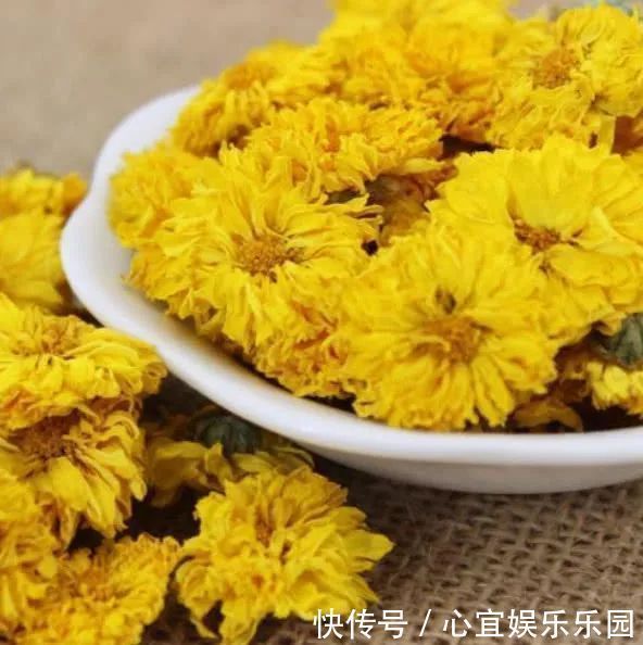 刮油|李时珍称菊花加“一物”，连喝一周，排出黑臭宿便，体重悄悄降