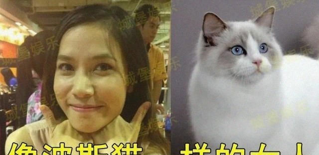 诗妮娜贵妃@泰国贵妃放下身段合影,却被身旁浓眉女子不屑一顾:有啥好得意的