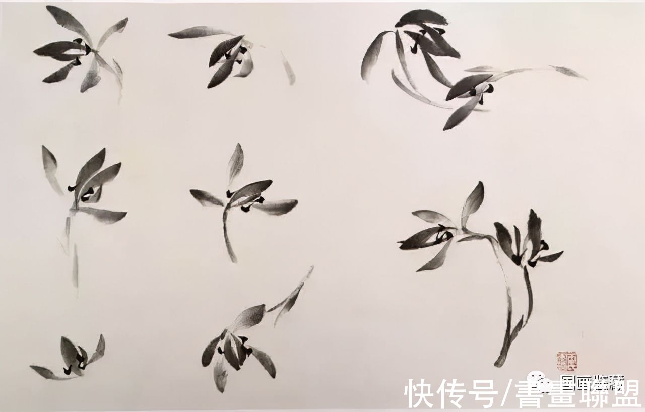 兰叶@国画兰花绘画技法，怎样画兰，兰与竹的组合画法教程