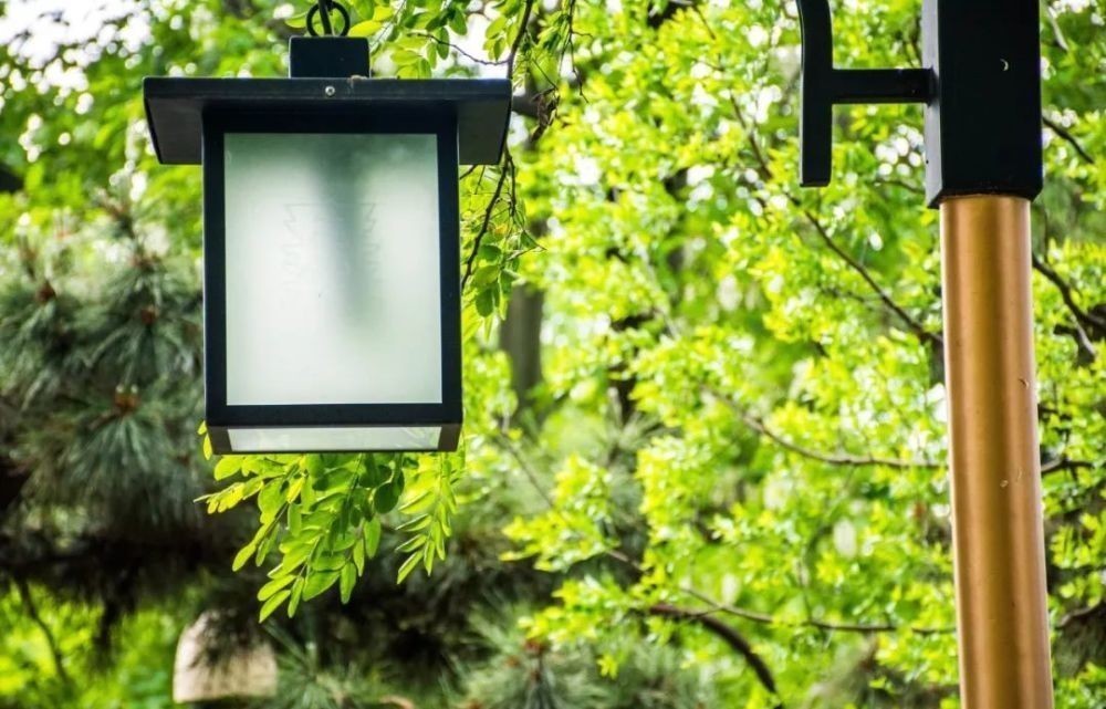 听信|你是一个好人,为什么还是有人不断地议论你?看完恍然大悟