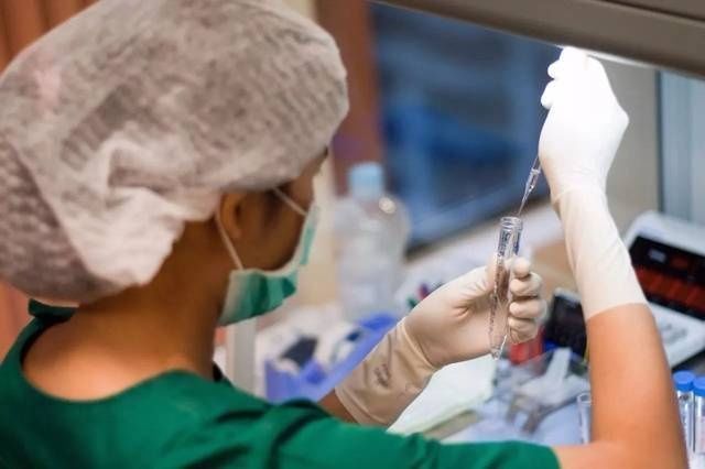 婆婆|试管胎儿与普通胎儿,在孕期有啥区别?答案可能让某些人“失望”