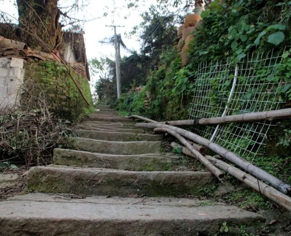  湘阴县|和TA一起来感触岳州窑非遗的魅力