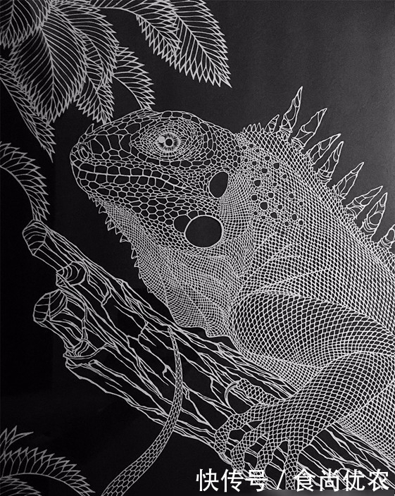 中国|直击:中国的剪纸艺术传到日本后,感觉味道还是变了