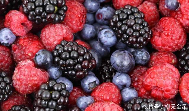 抗氧化|蓝莓曲奇,9.9元一盒的蓝莓,还可以这样吃清香柔软、甜而不腻