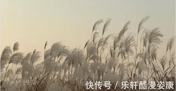 金牛座|思维灵活,想法犀利,这三个星座的人终将会暴富,擅长闷声发大财