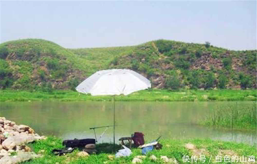 靠谱|夏季钓鱼,钓点一定选深水吗?这些位置钓浅也上鱼,比深水还靠谱