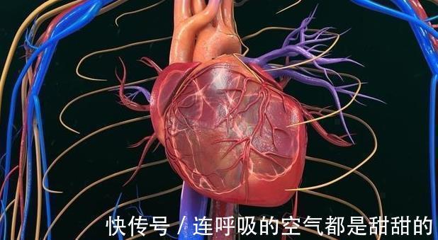 低压|血压中的高压与低压,哪种升高了更危险二者之间有什么区别呢