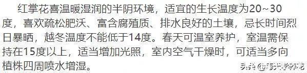 这六种花都是“毒花”,家里有老人、小孩、孕妇的,千万要慎养!