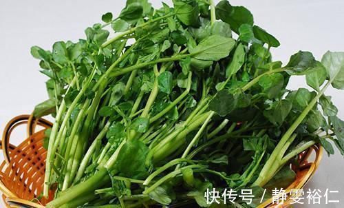 润肺|此菜,钙比牛奶高,铁比菠菜高,润肺护眼,孩子吃增强抵抗力