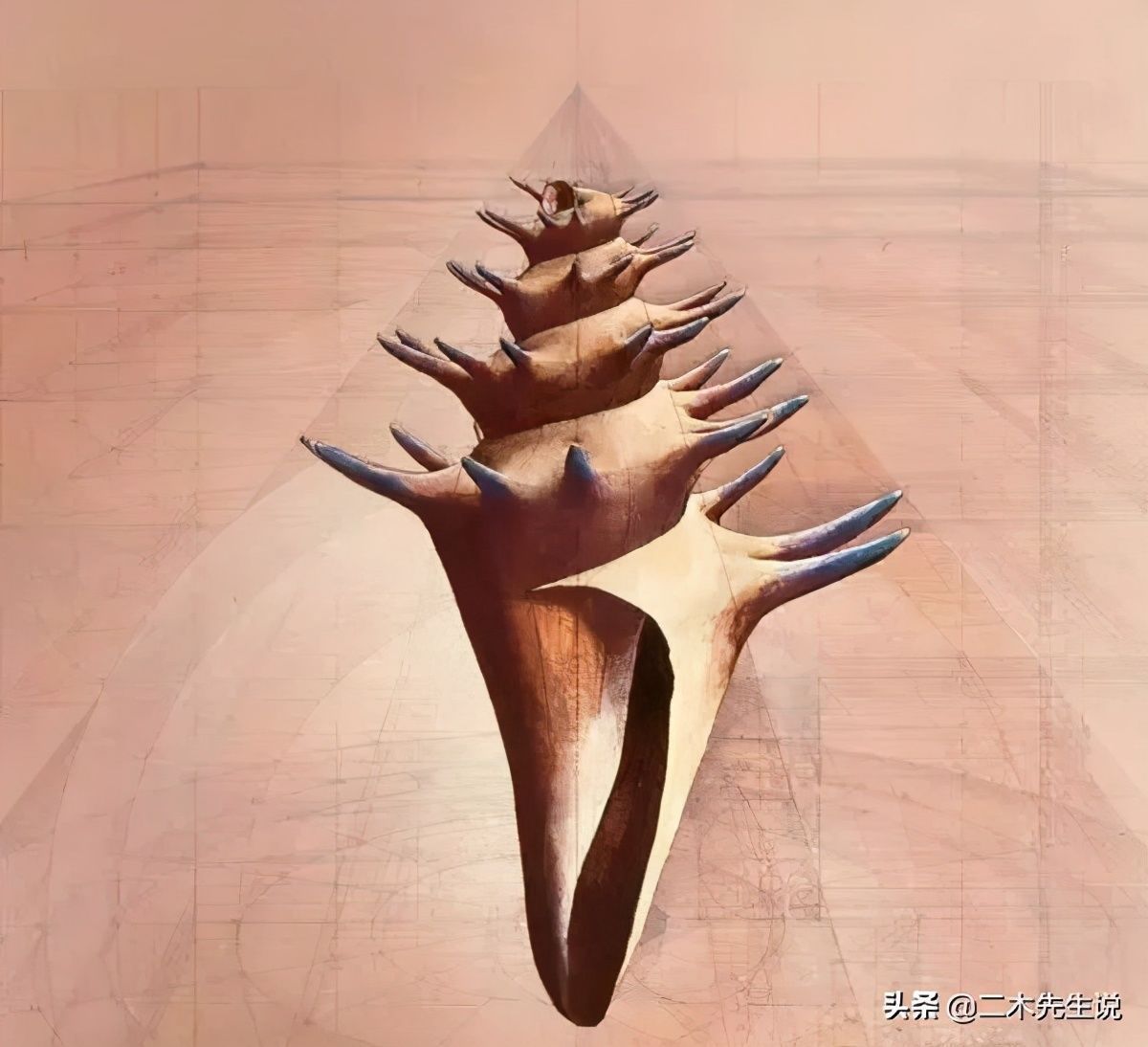 黄金比例!理工男花40年时间,用圆规画1000张画,黄金比例的拥护者