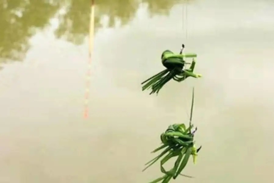 深秋“对付”草鱼，我就只认这3招，莫不信，一般人学不会