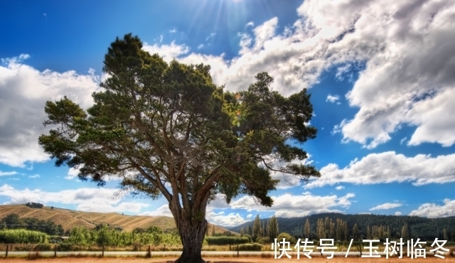 重城府|这几个星座“心机重，城府深”，却不屑于算计他人，一生坦坦荡荡