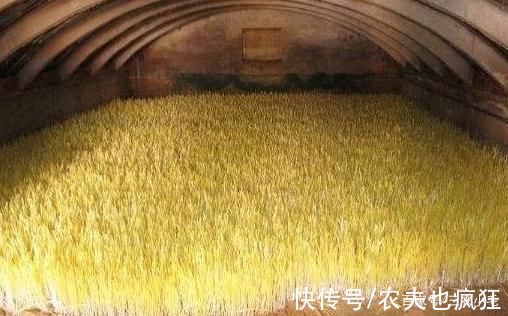 此菜很害羞,仅在黑暗中生长,常被误认成韭黄,却是“菜中珍品”