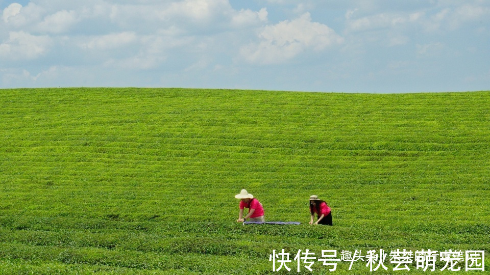 西南地区|我国西南地区不仅风景奇秀，还有独具风情的少数民族增添神秘感