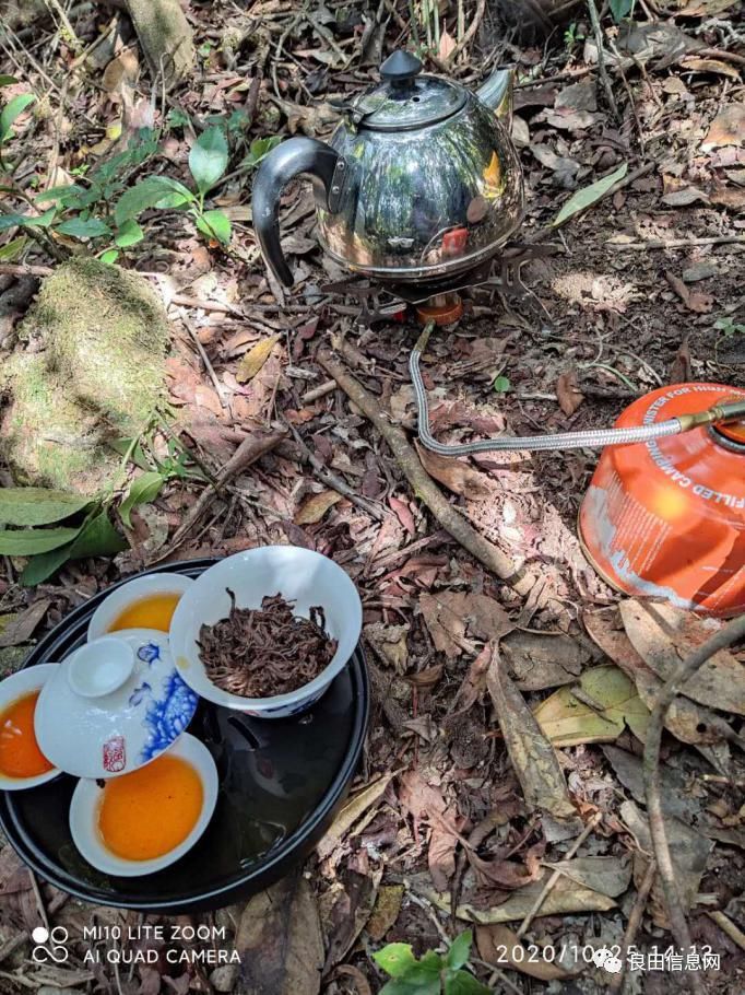 高峰|探寻揭西第一高峰附近的仙人塘古庵遗址