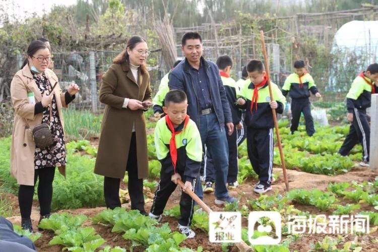 副校长|聊城东昌实验小学召开劳动实践教育探讨会