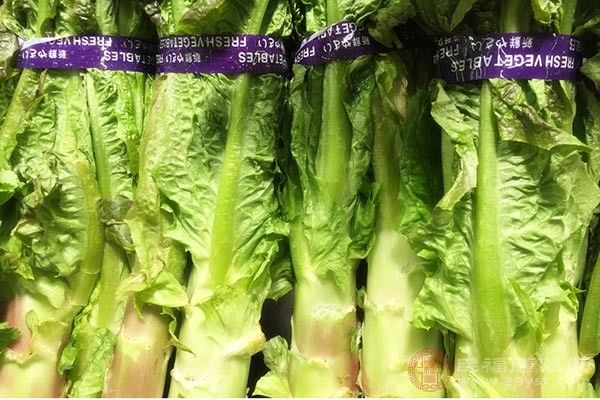 萵筍葉子能吃嗎