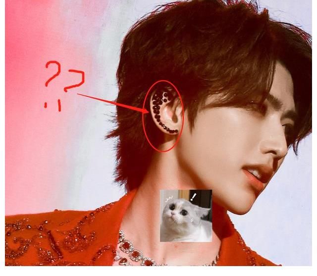 蔡徐坤违规被罚，未获演出许可擅自开场？真相曝光：他是被冤枉的