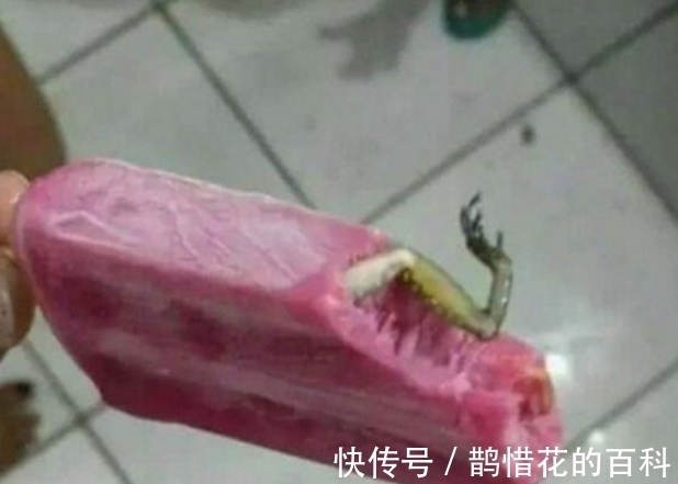 三文鱼|太喜欢老婆给我做的饭菜了。最后一图都把孩子做出来了