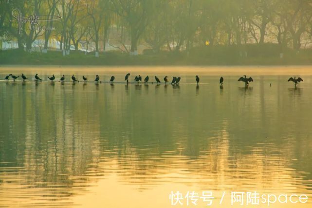 杭州|西湖的一个角落在清晨宛若仙境，它是冬天才有的风景