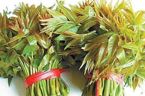  天然的“养肝王”被发现了，常吃排出体内毒素，肝越来越好