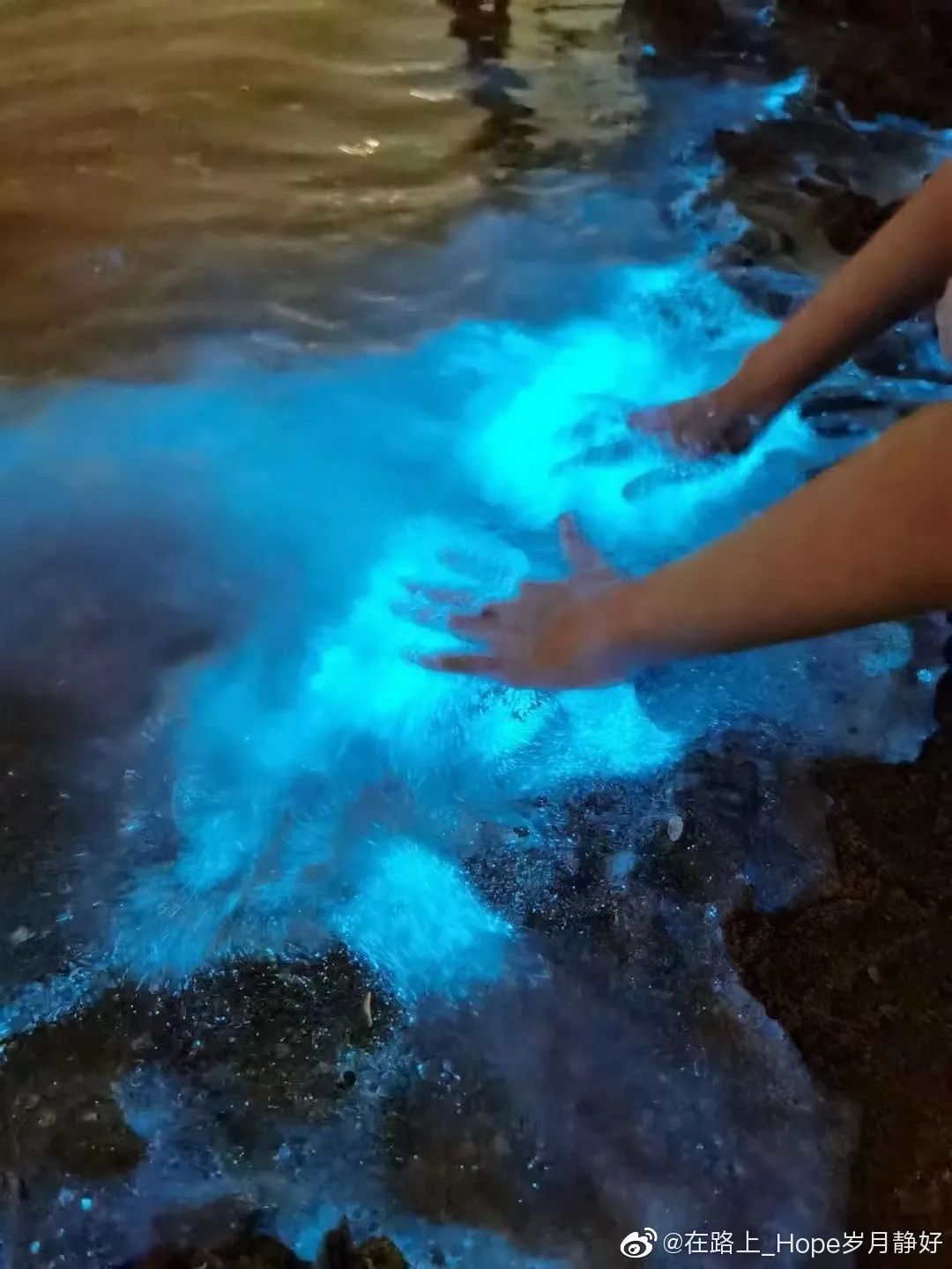海峡导报|突发！厦门海沧湾公园人人人人人