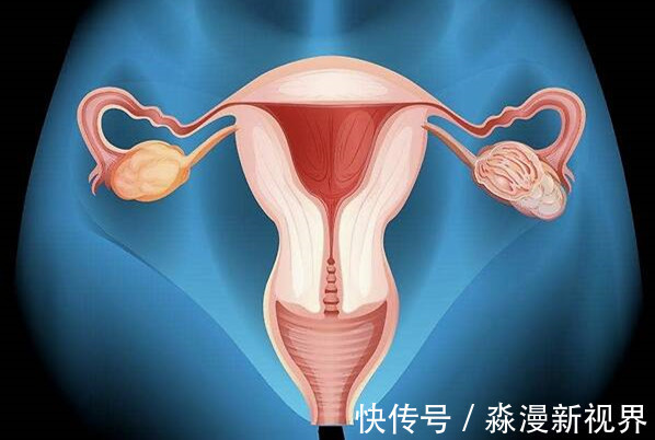 中国女性|女人绝经是“好事”，4个好处“不请自来”，别再害怕“绝经”了