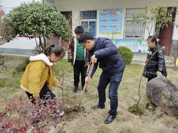 绩溪临溪中心小学开展植树种花美化校园活动