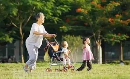 规矩|我带外孙可以,要遵守我的规矩,老人带娃要知道的事情