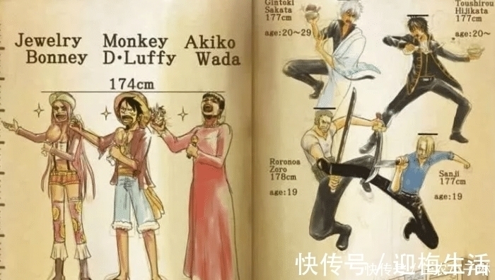 银魂|为啥《海贼王》里身高那么夸张?看过尾田的初稿大家就明白了